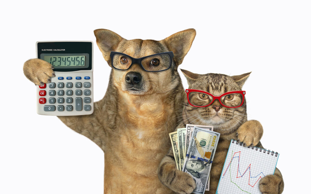 What You Need to Know About After-Tax 401K Contributions